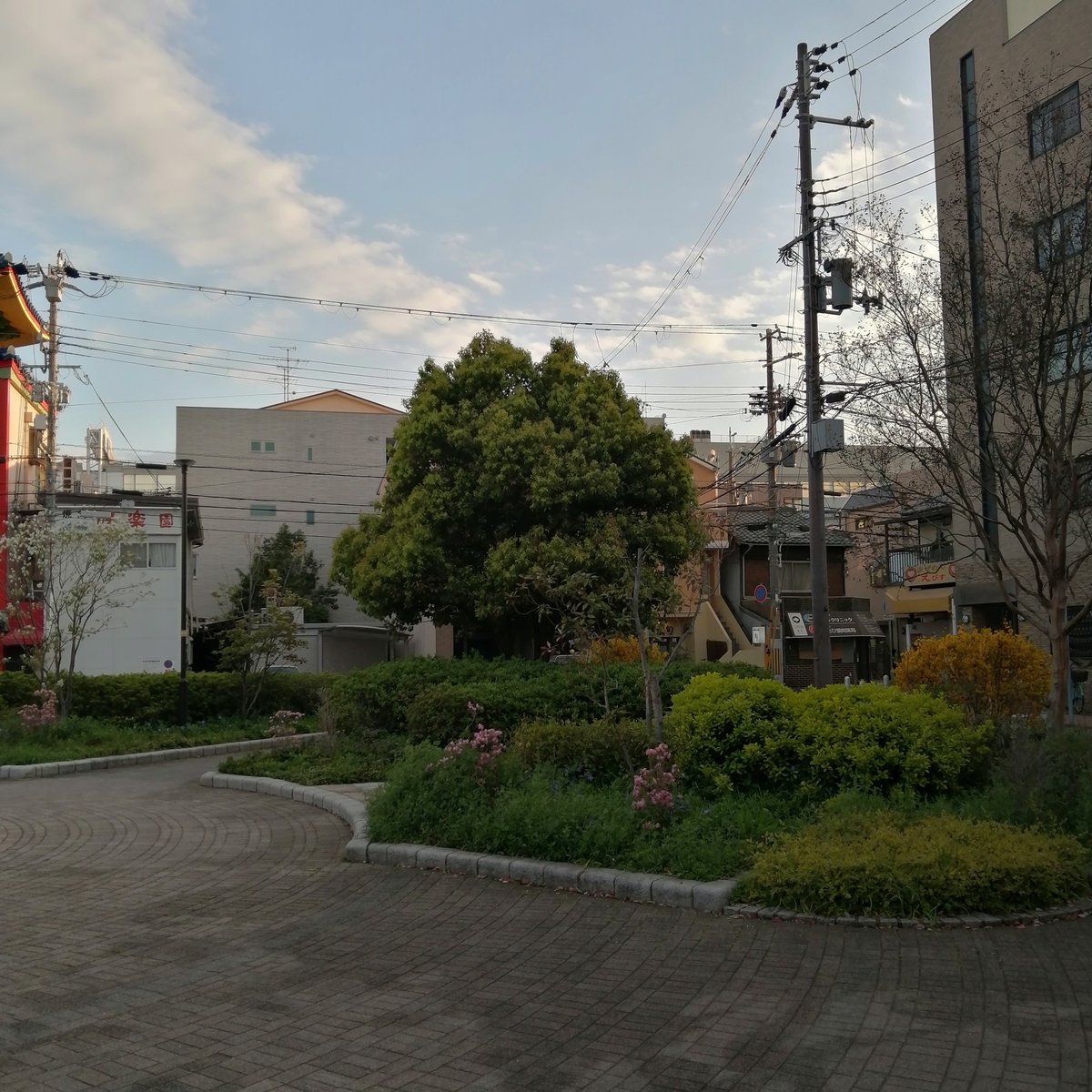 HIRO🌅Beyond TOEIC L & R tweet media