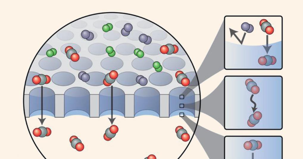 ChemistryNews's tweet image. Water-based membrane waves through carbon dioxide, blocks other gases chemistryworld.com/news/water-bas…
