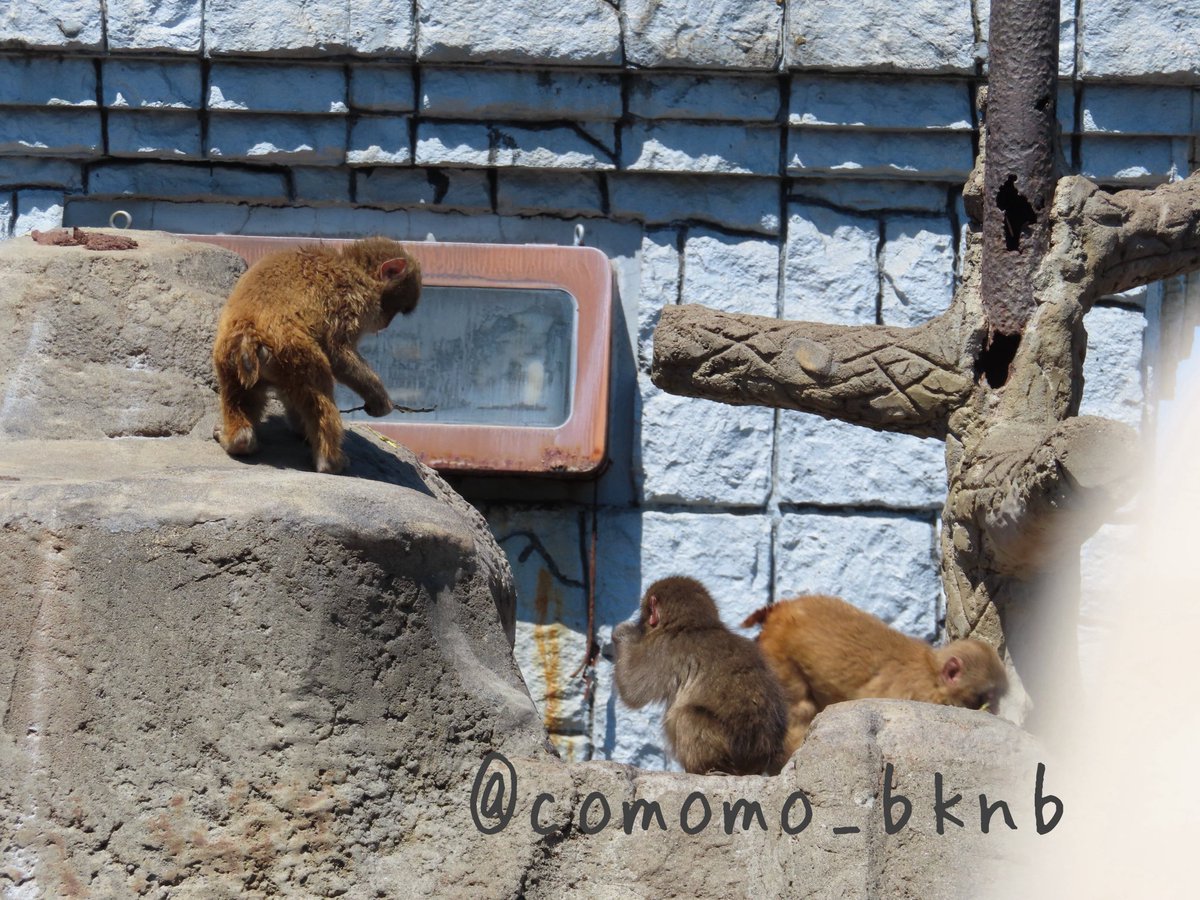 よっぴ‎✩⃛ tweet media