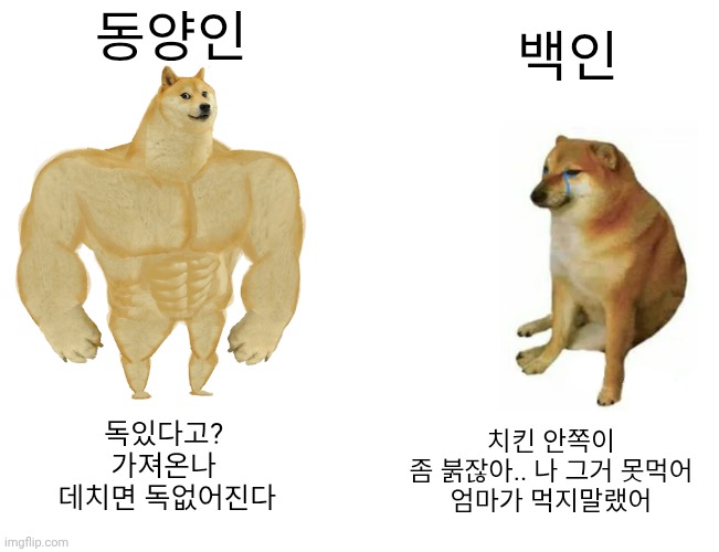 라곤(유교해방연대) tweet media