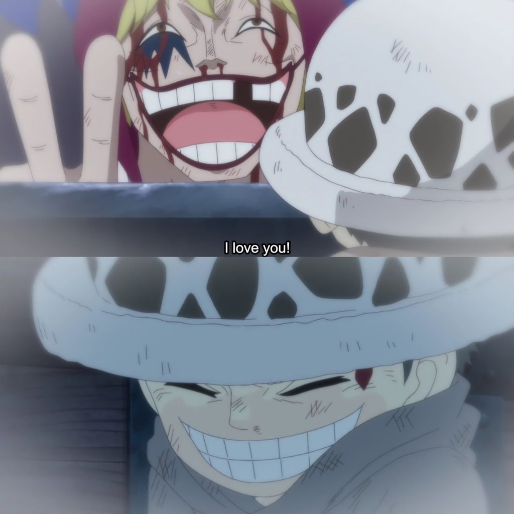 One Piece Daily tweet media