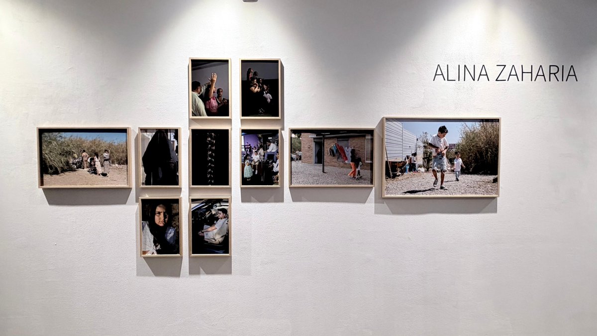 Daniela Gîtman tweet media