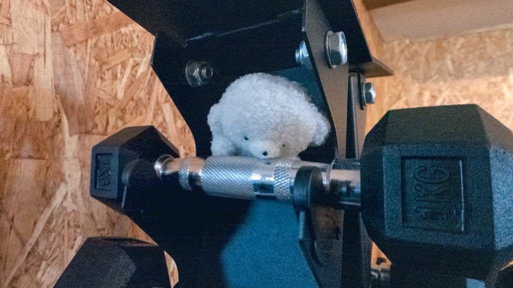 じょせまる tweet media