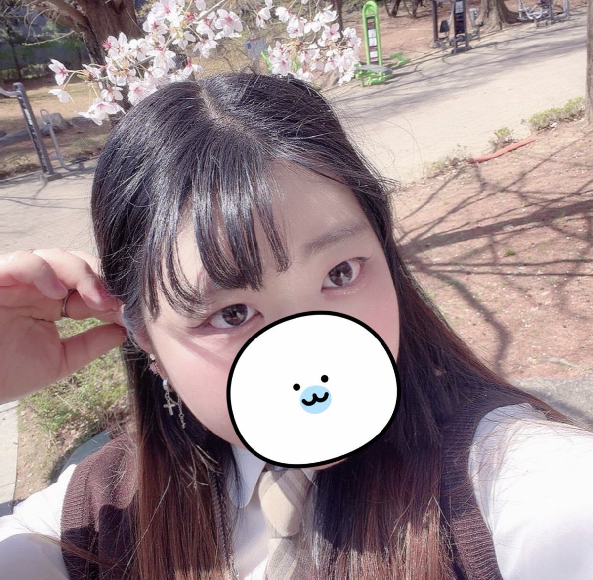 🌸さくら はる ❕🌸 tweet media