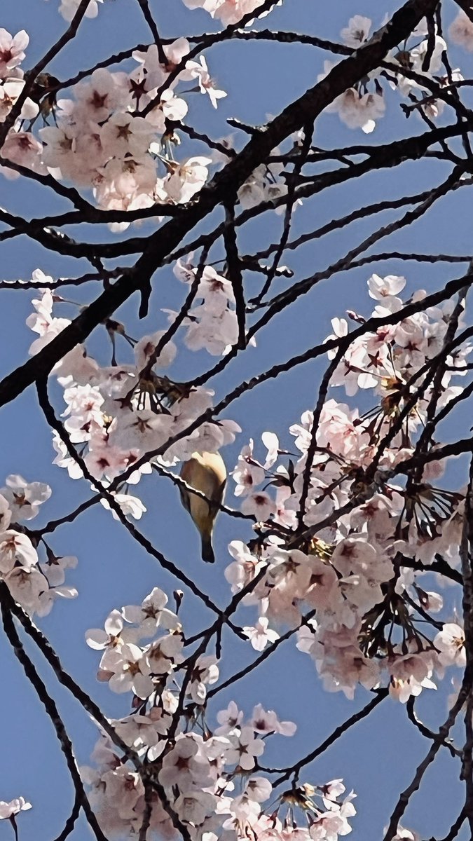 じゅんくん tweet media