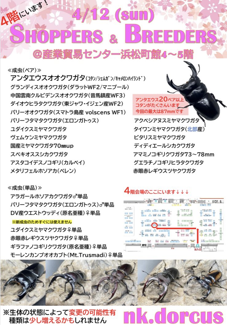 nk.dorcus tweet media