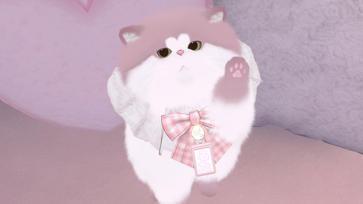 ✦ねこちゃん紹介✦ 名前 : るた 種類 : 雑種 くすみピンクにハートが