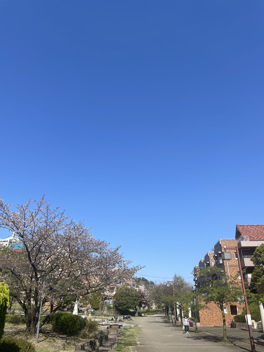 葉桜の緑がいっそう映える瑠璃一色の空の下、ワントレのセッションに向かいます。
#今日の空