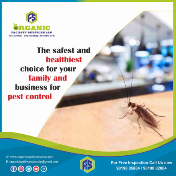 LlpOrganic's tweet photo. Cockroach Pest Control Gel Services in Mumbai – A Smarter Way to Han ..For more info visit...https://t.co/AC0IDwVi19 https://t.co/B9Da8u1mot