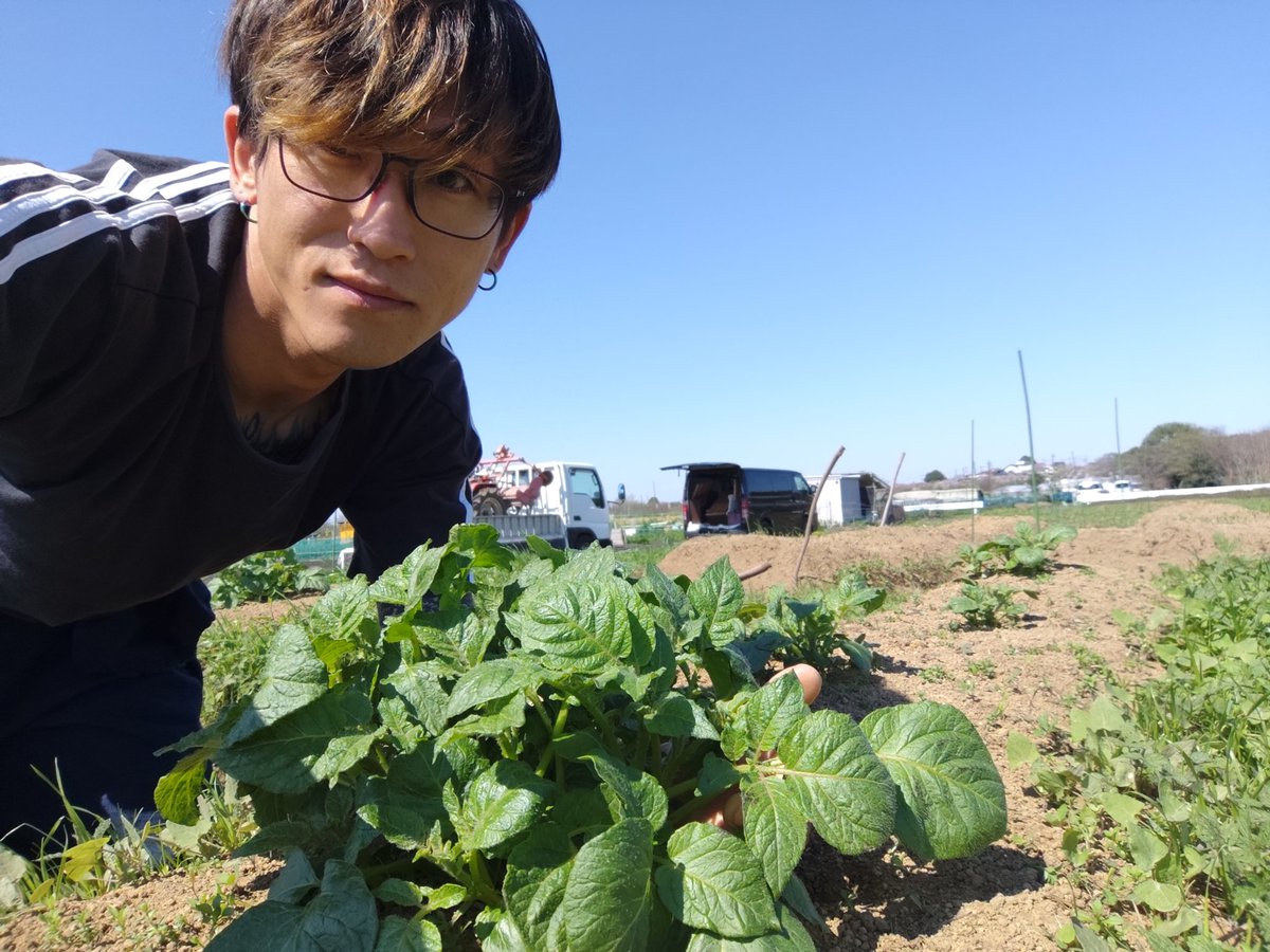 日の丸ニキ🇯🇵大西正都【●】【わ鏡】 tweet media