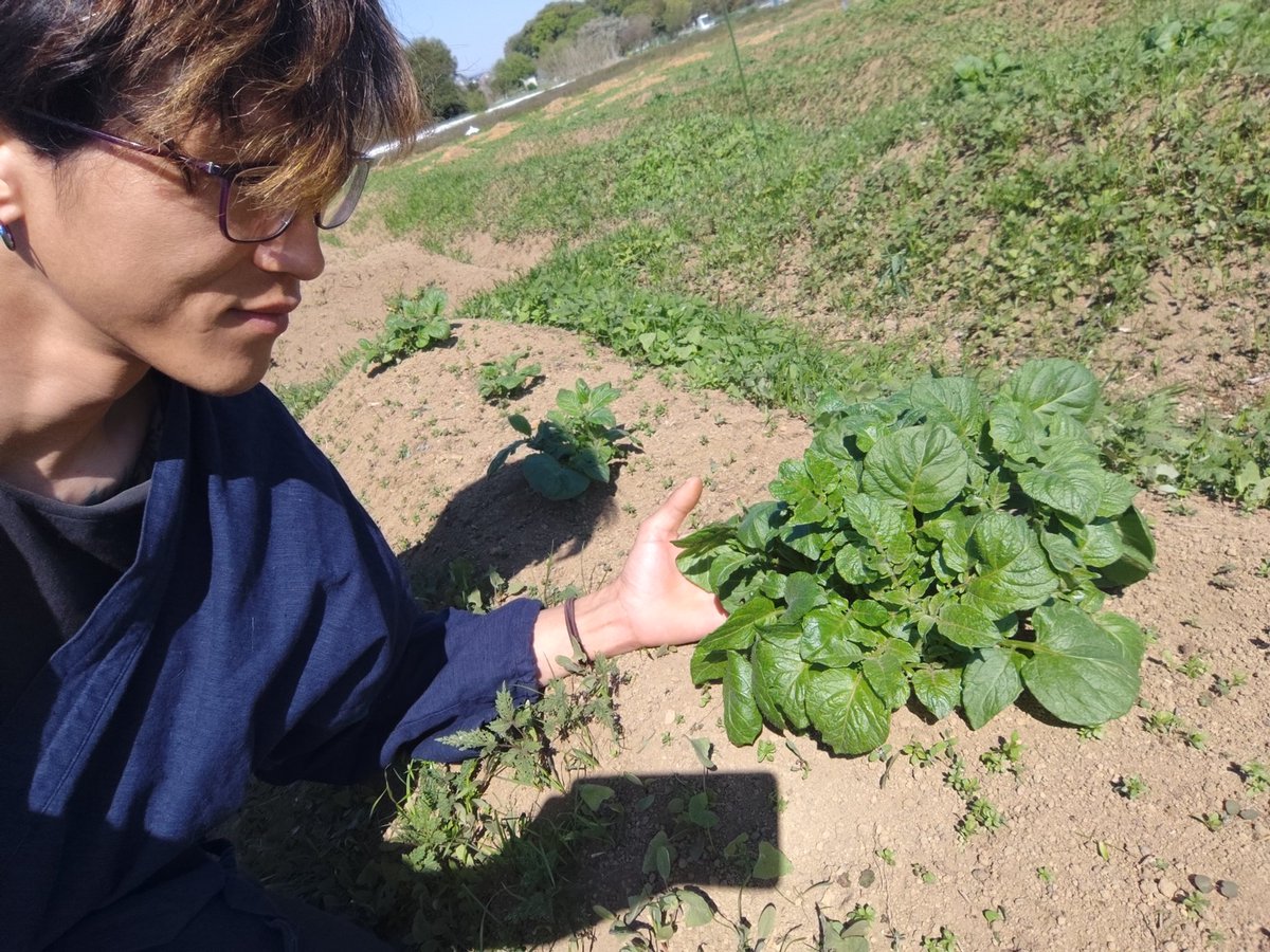 日の丸ニキ🇯🇵大西正都【●】【わ鏡】 tweet media