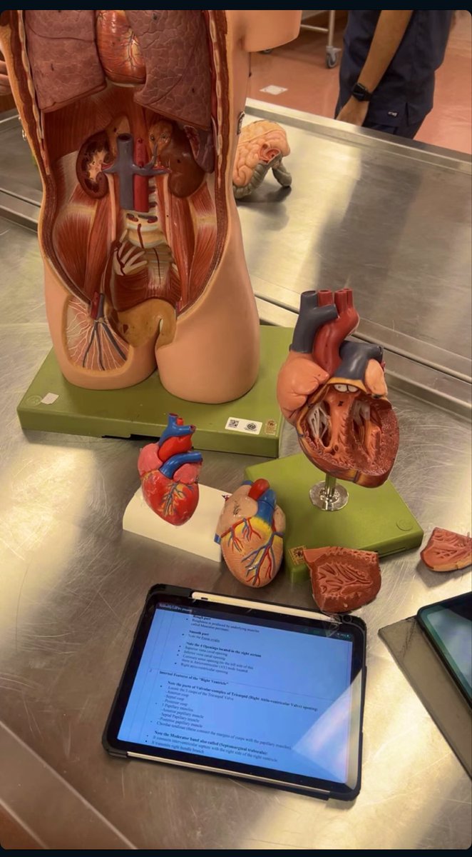Dsao_71's tweet photo. تمّ بحمد الله الانتهاء من بلوك Cardiovascular Sciences 🫀🩺

✦ 08/04/2026 ✦

اللهم علّمنا ما ينفعنا، وانفعنا بما علّمتنا، وزِدنا علمًا.

تقييم البلوك: 9.7 ويستااهل😘

💫💫💫💫💫 https://t.co/EwUvw9Ag7h
