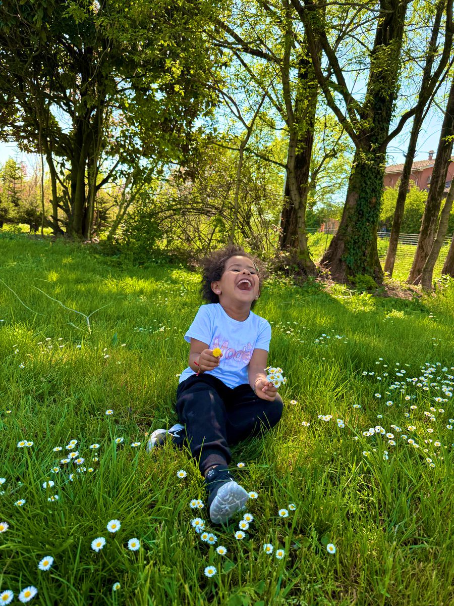 Harry Da Diegot tweet media