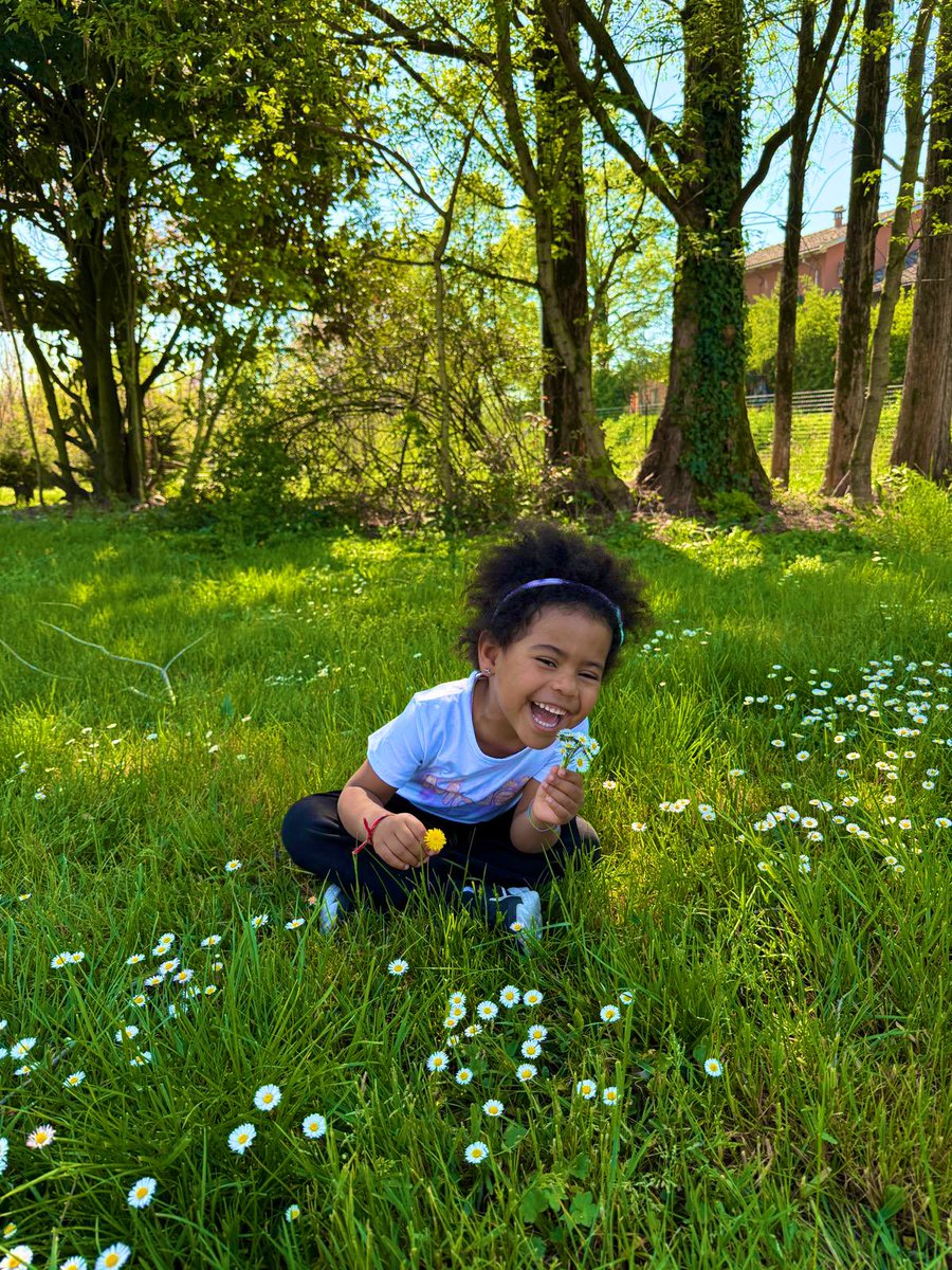 Harry Da Diegot tweet media