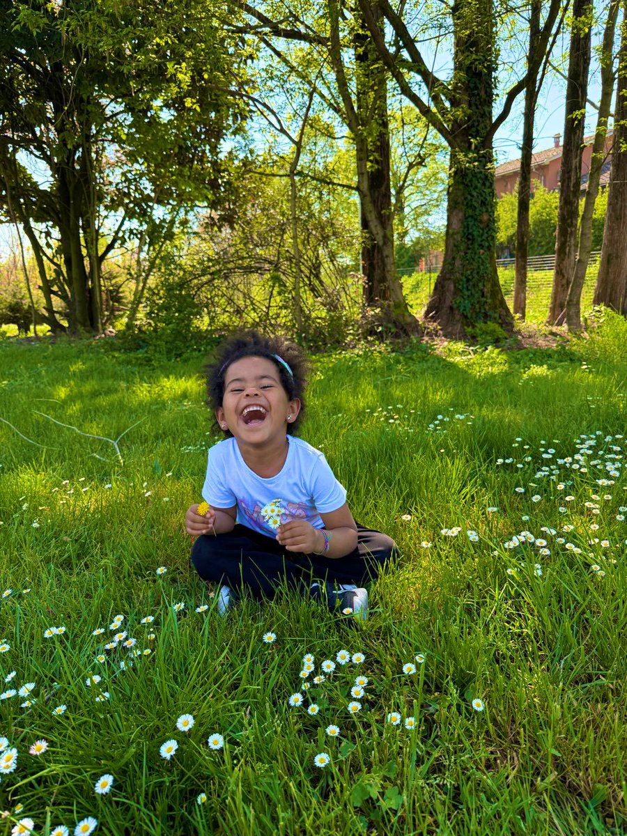 Harry Da Diegot tweet media