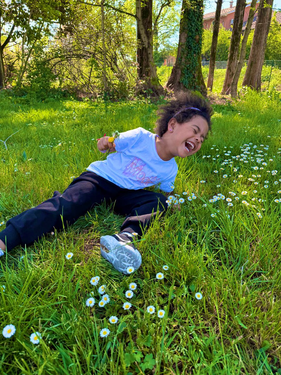 Harry Da Diegot tweet media