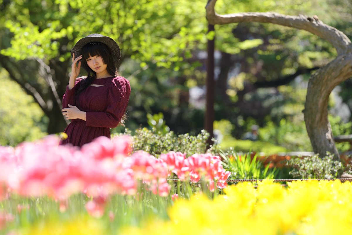 けんも765P tweet media