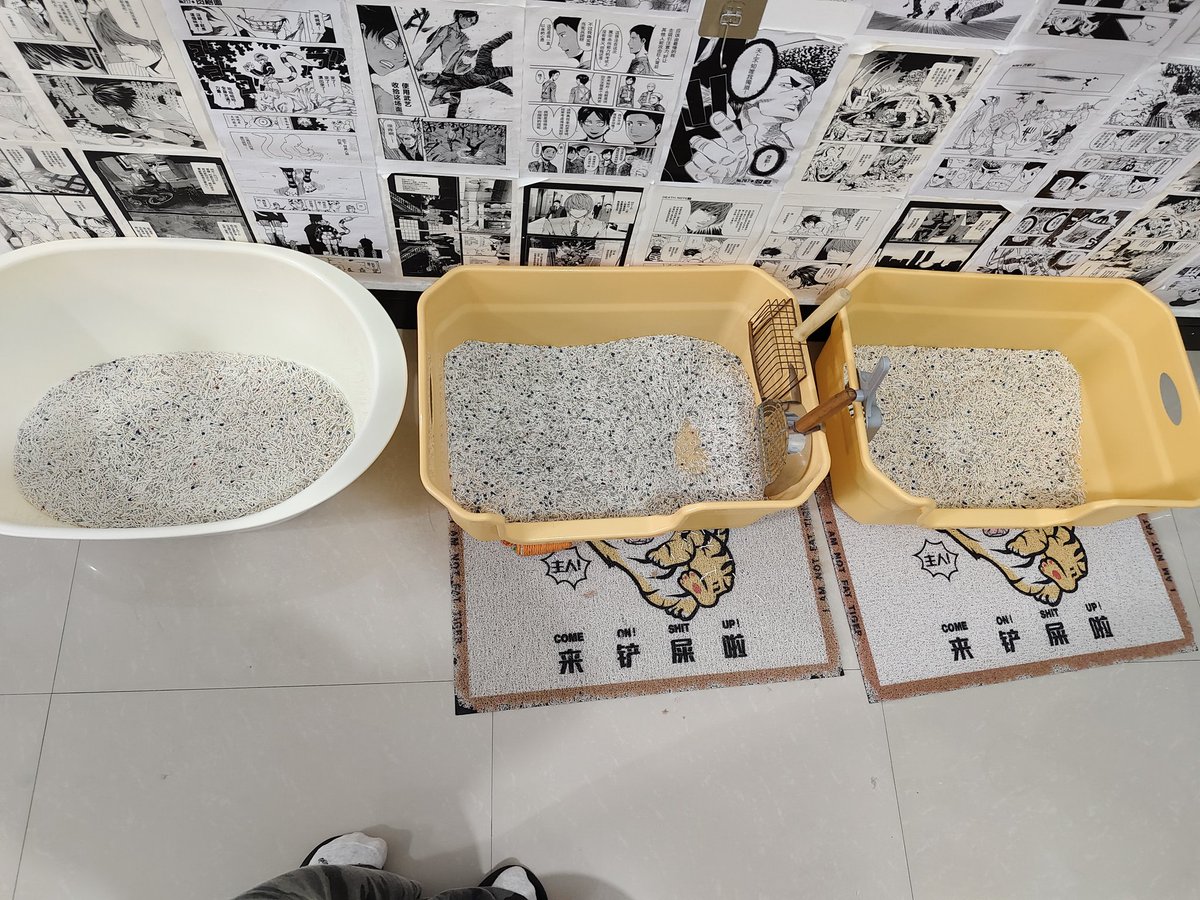 八小时昏睡美少女 tweet media