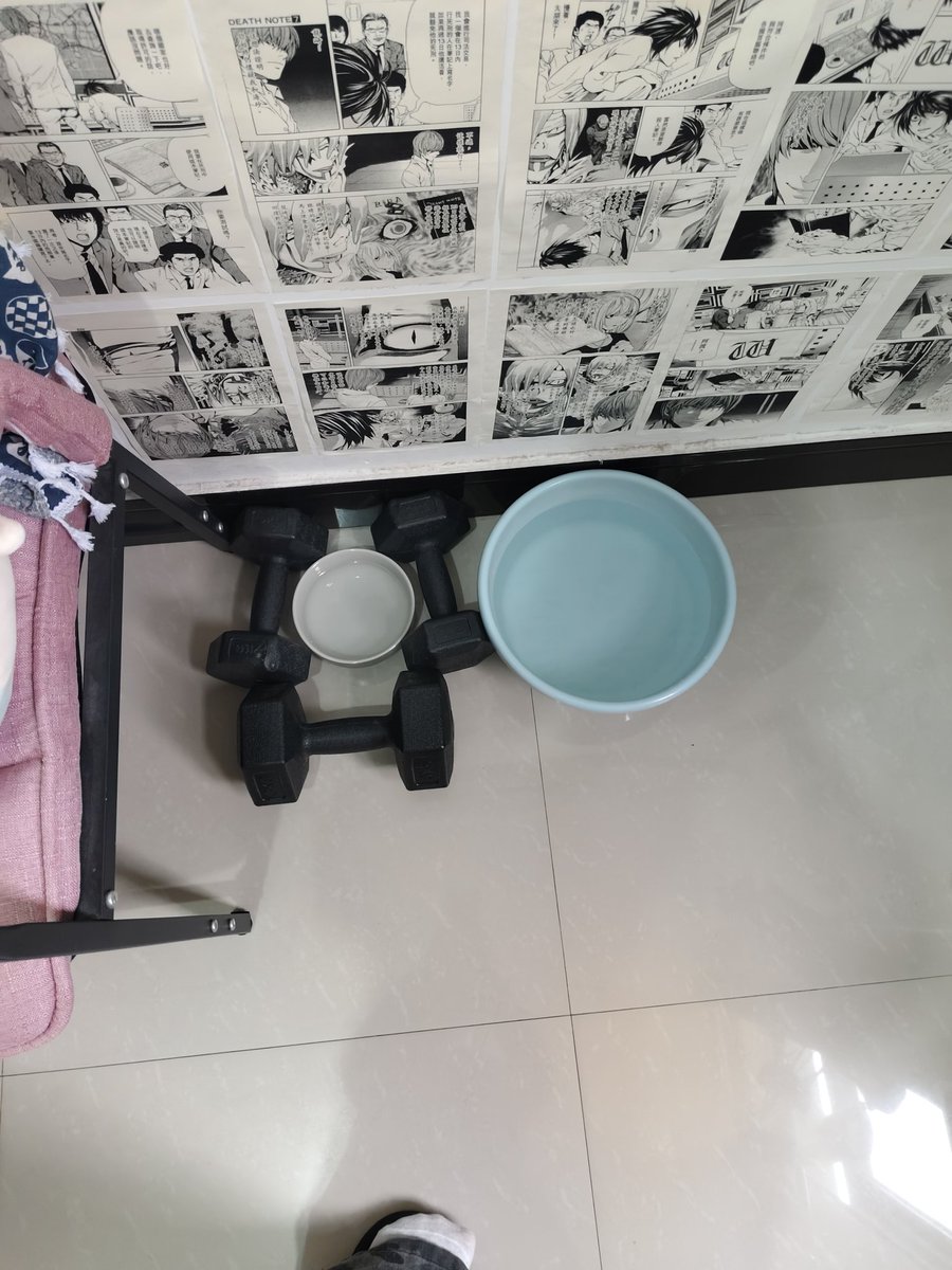 八小时昏睡美少女 tweet media