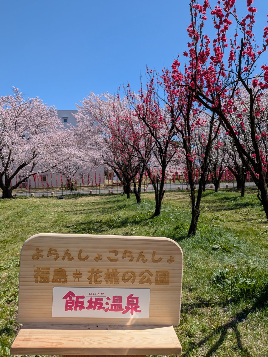 lifepure2008's tweet photo. 飯坂温泉花桃公園にフォトスタンドが設置されました。 https://t.co/w5xrqeaCa8