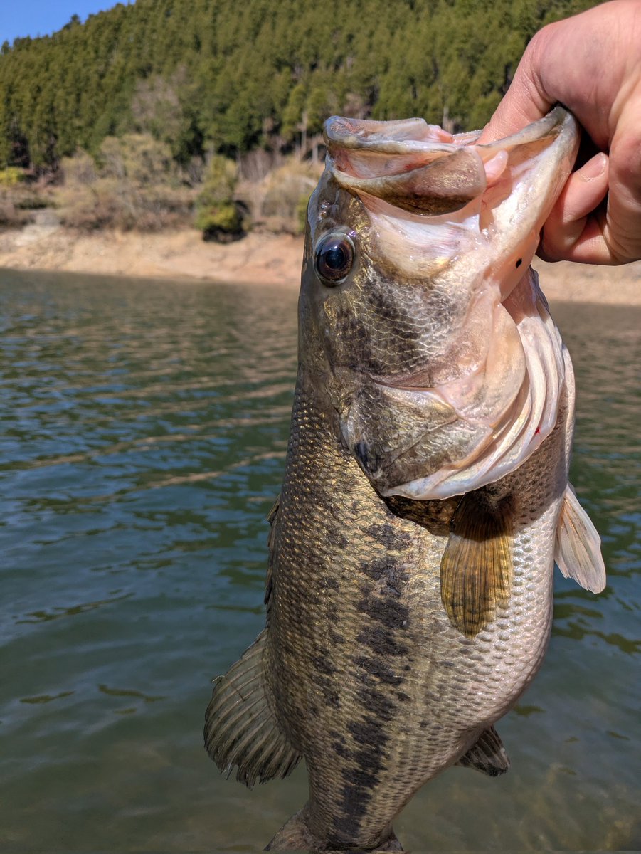 うちゅう tweet media