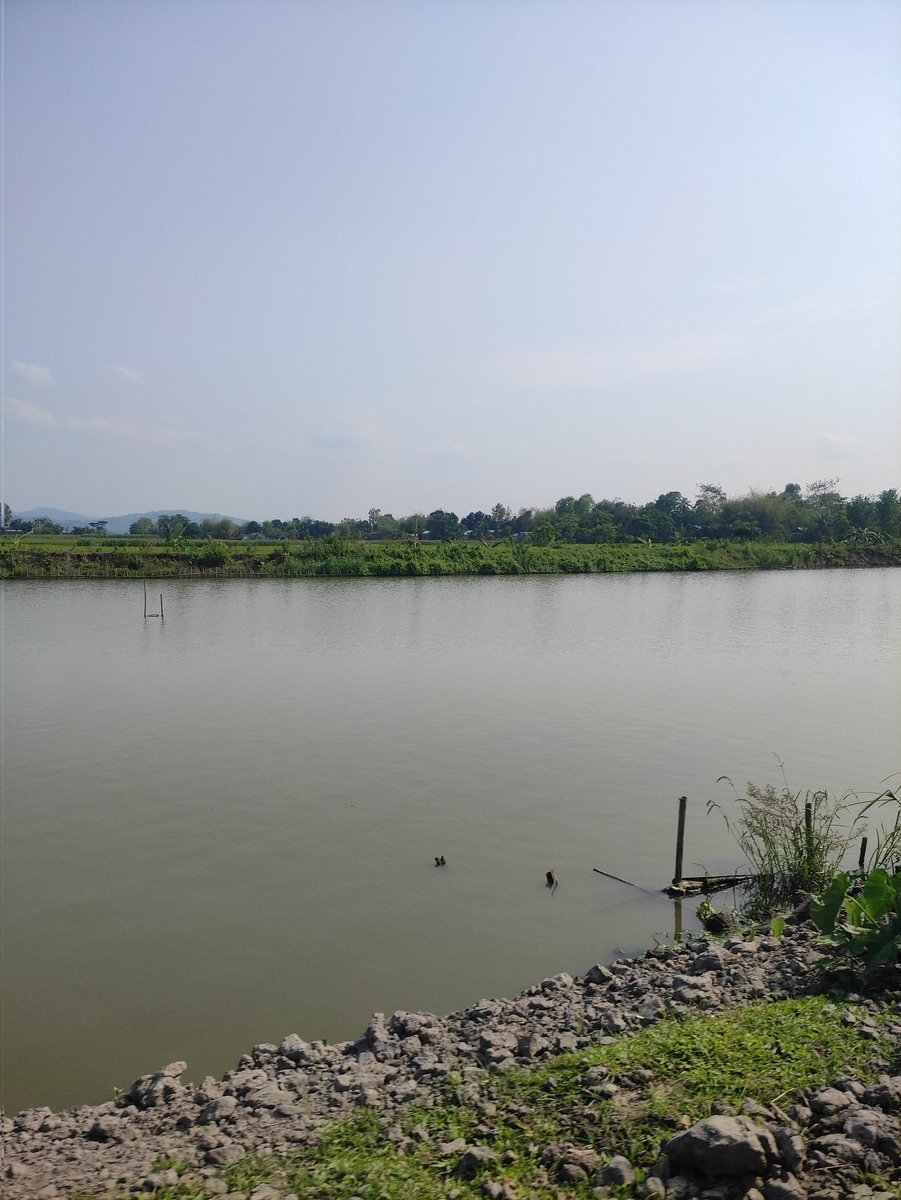 Moses_Tech tweet media