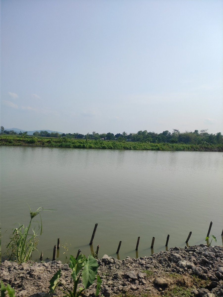 Moses_Tech tweet media