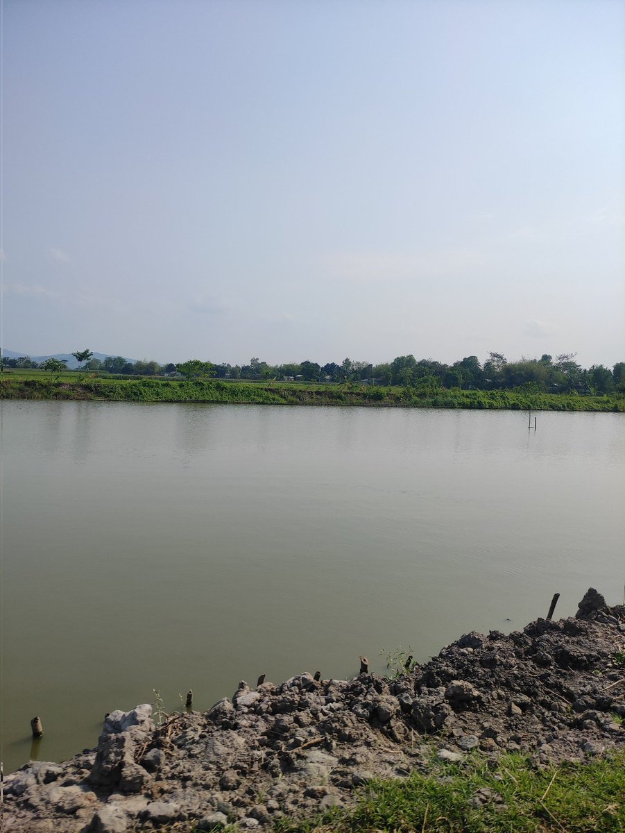 Moses_Tech tweet media