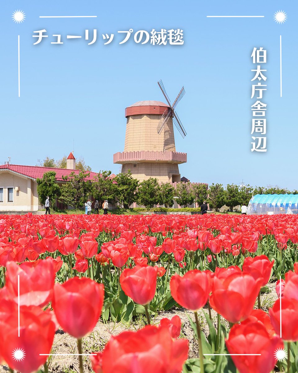安来市 tweet media