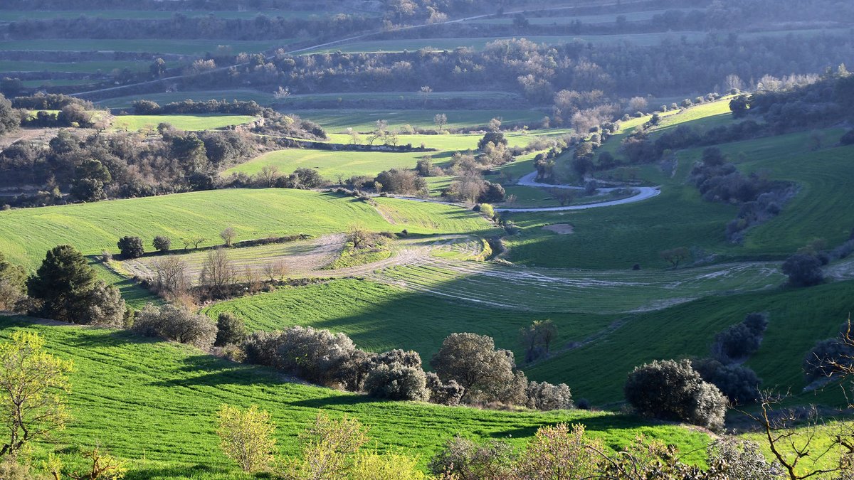 SomSegarra's tweet photo. Tot passejant per Montoliu de Segarra als Comalats, #primaverasegarra, #bondia
ℹ️ https://t.co/vHIrh9hZA3 https://t.co/PEoJ1x5PNa