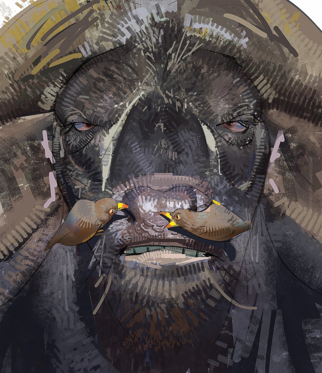 RamonN90 tweet media