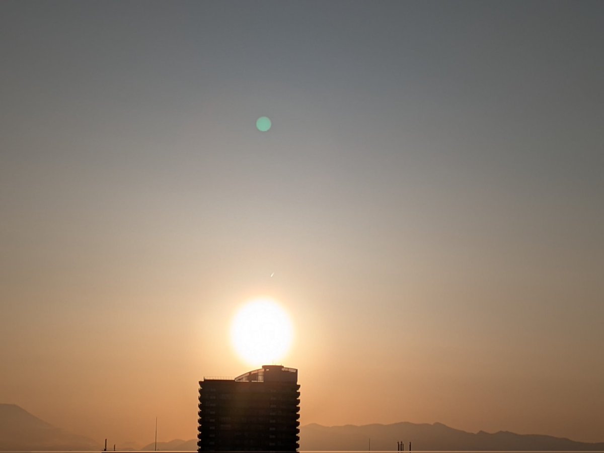 瑞雲ziun ELD55 tweet media