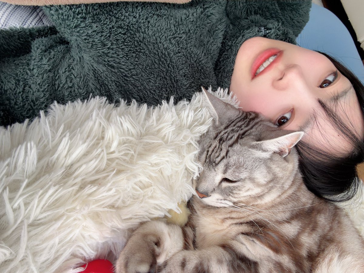 ねことおひるねした