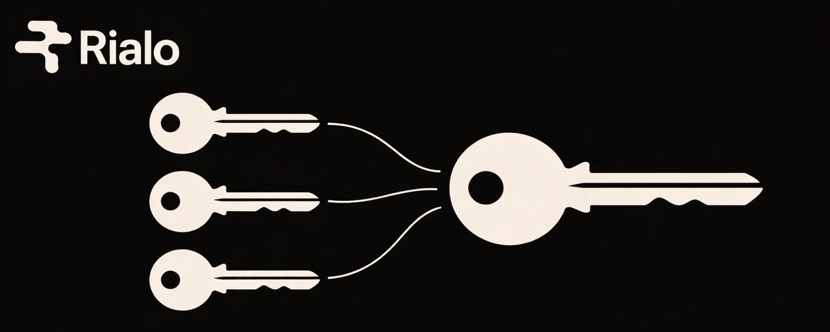 dpppps-Rialo（allin Rialo版） tweet media