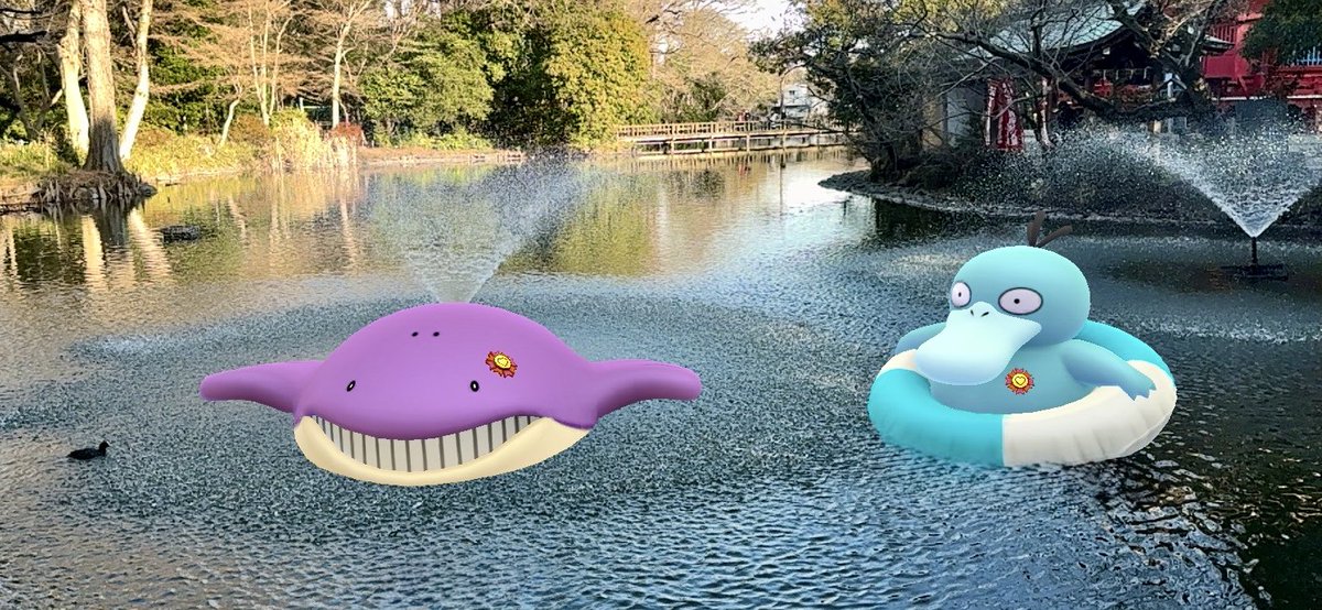 toboinsta's tweet photo. カイオーガだホェ〜! / I’m Kyogre~!🐳
なんか丸っこい気がするグワ?😳
#ARofTheDay #GOsnapshotCelebration #GOsnapshot #PokemonGO #arblending #ホエルコ #コダック https://t.co/HJPi9ghVLb