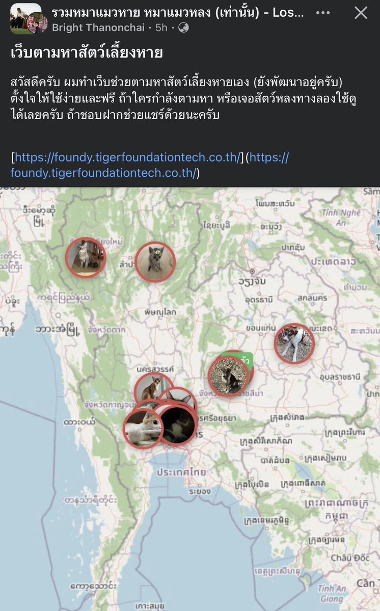 คือผมต้องทราบไหม 🐈‍⬛ tweet media