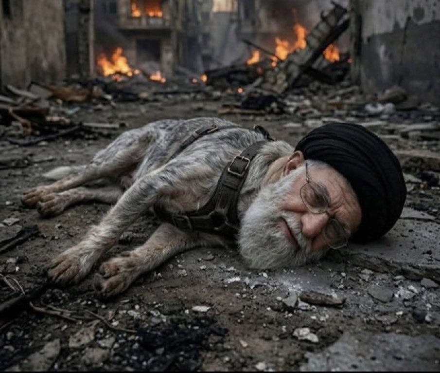 سفيان السامرائي tweet media