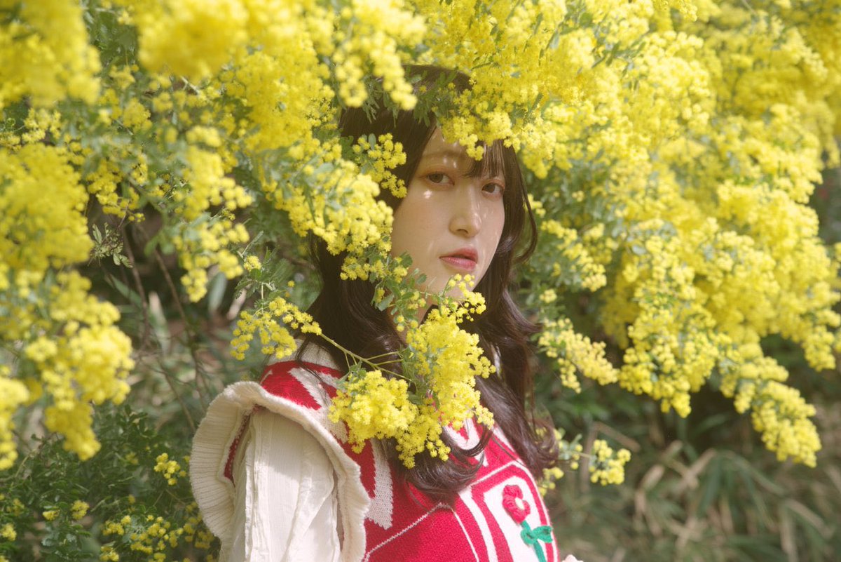 amo_air1201's tweet photo. 💛

.

📸がんぽさん@easterngumpo 

 #ポートレート  #Portrait
 #ポートレートが好きな人と繋がりたい 
 #ミモザ https://t.co/0mKf0kT5Do