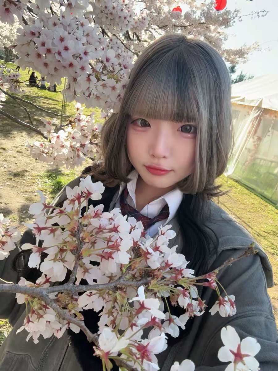 しゃけ tweet media