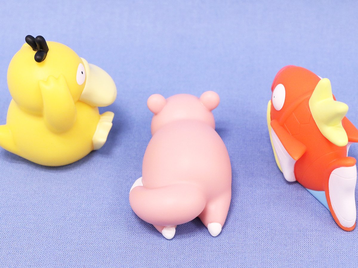 ポケモンだいすきクラブ編集部【公式】 tweet media