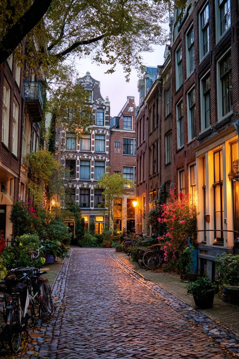 World in Pictures tweet media