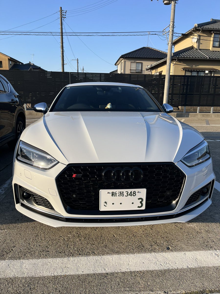 tatsuya.s tweet media