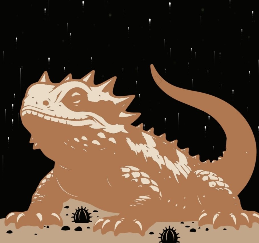 Todos Somos la Sierra de San Miguelito tweet media