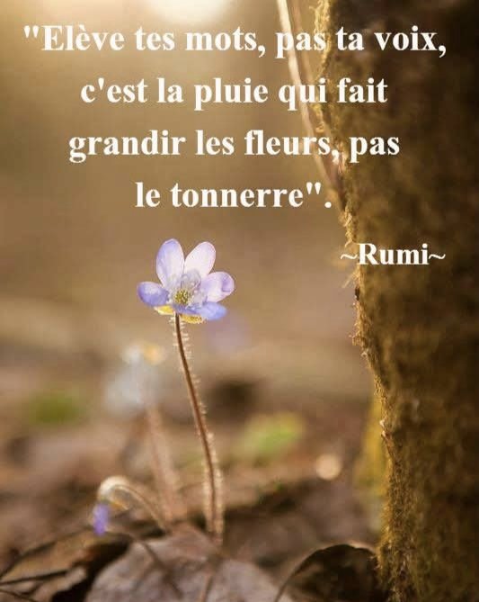 csibon27's tweet photo. 🥰😇
Tellement ❤️ https://t.co/j4e6Fe4yHI