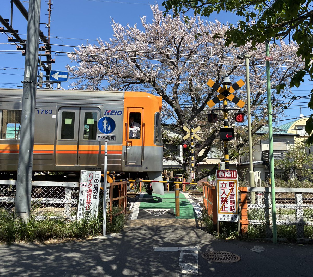 たかお tweet media