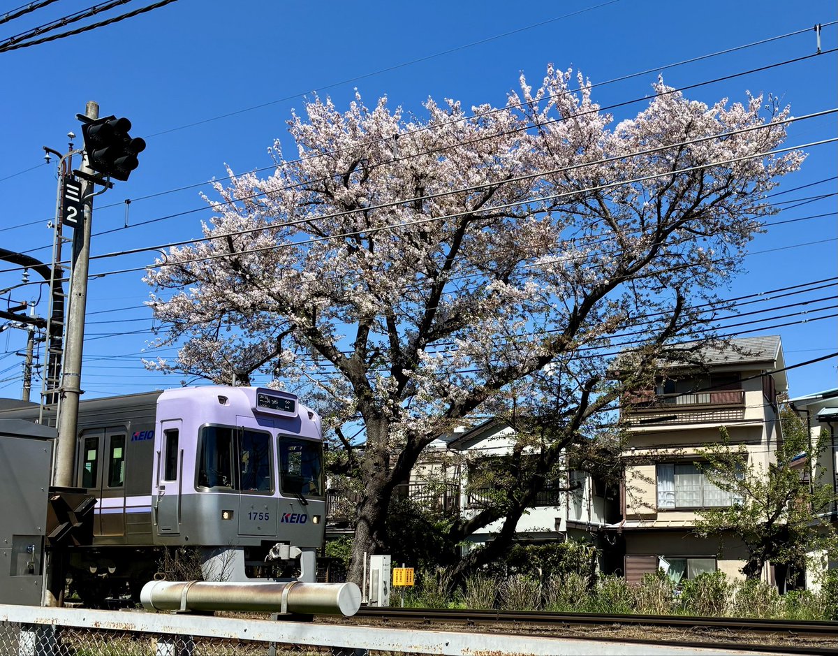 たかお tweet media