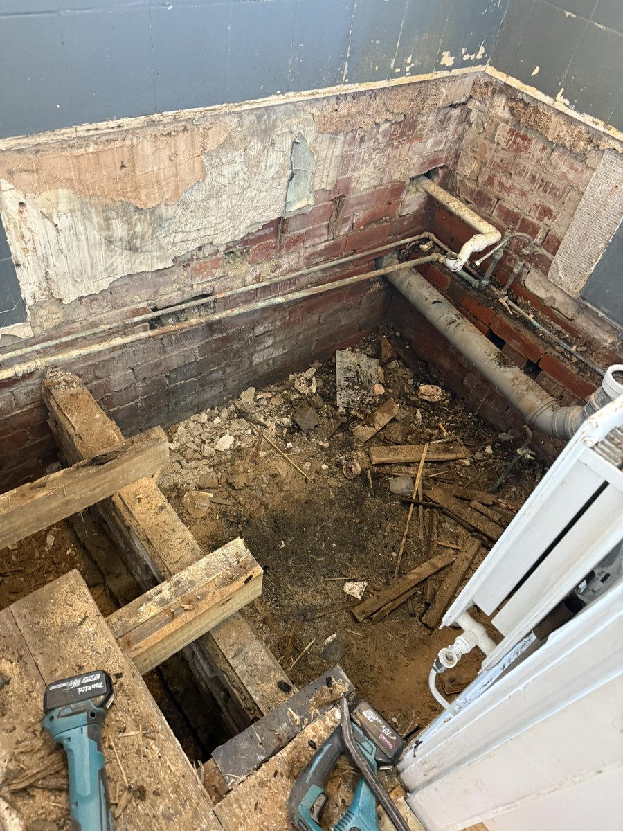 Cotton headed ninny muggins tweet media