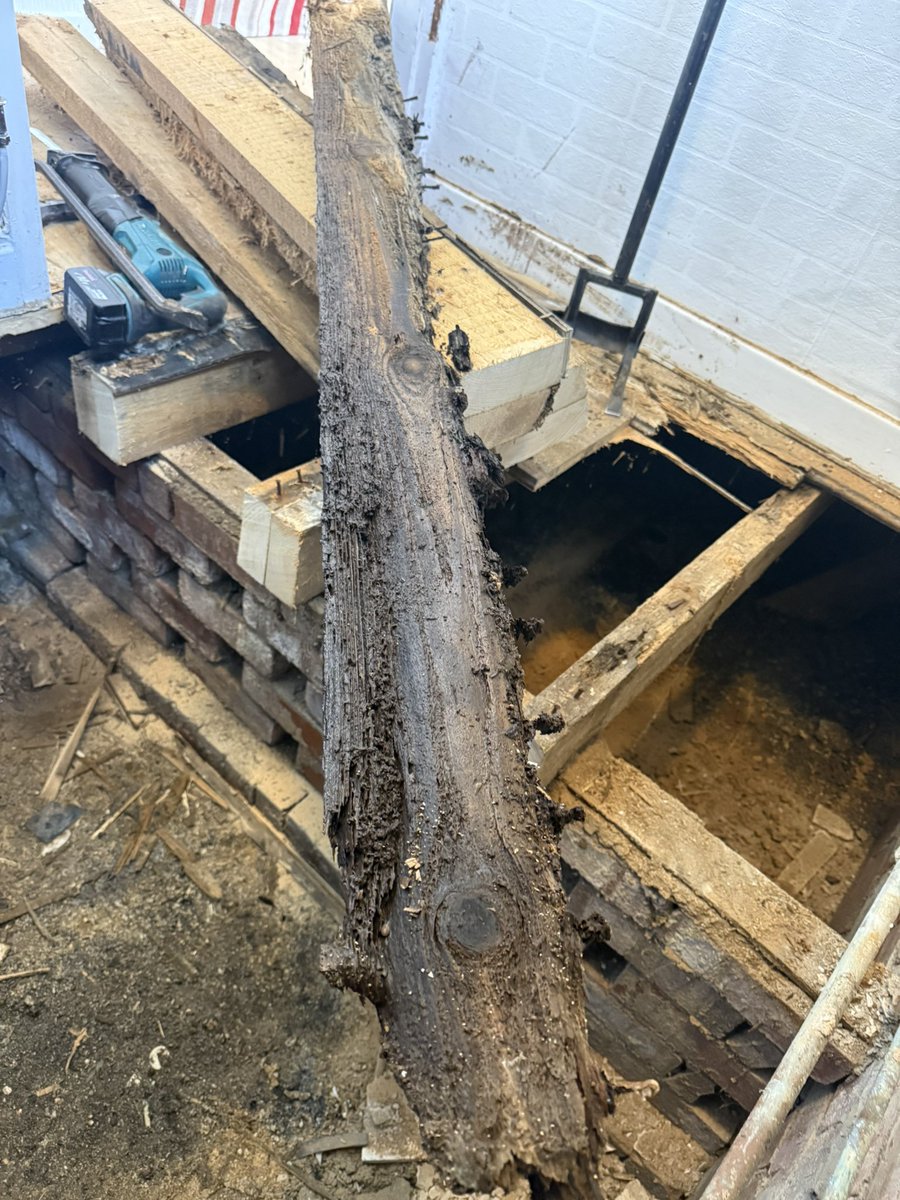 Cotton headed ninny muggins tweet media