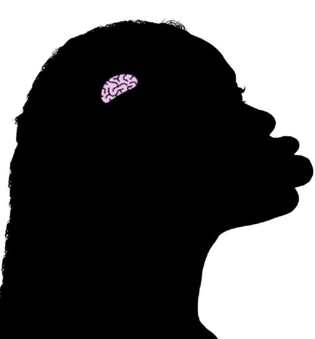 👑🇺🇸 Trump MagaStorm™ 🇺🇸👑 tweet media