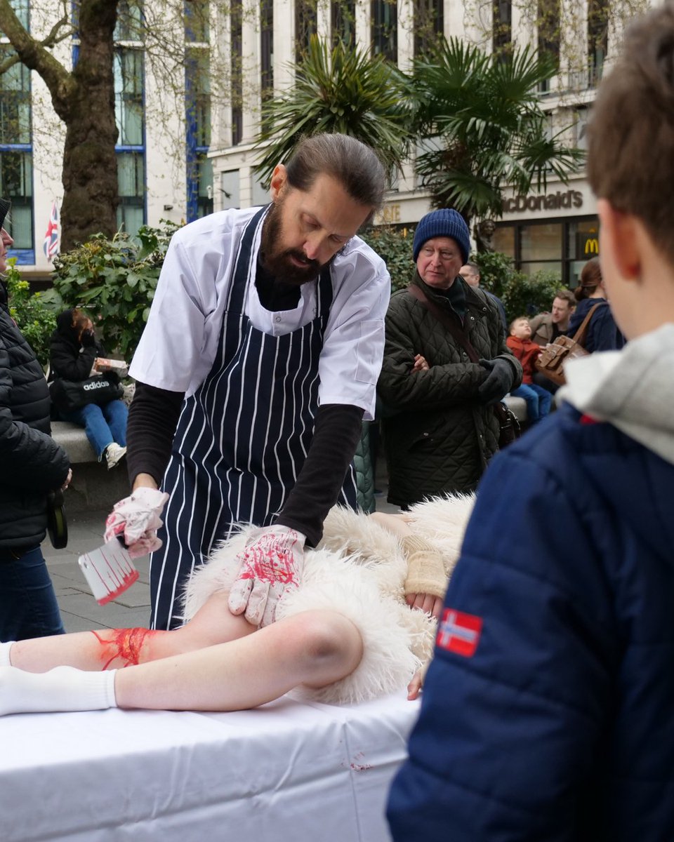 AnimalJusticeProject tweet media